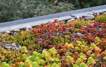 the cost of Seaside green roof installation