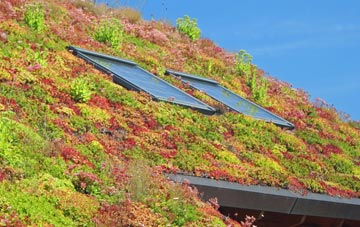 Seaside living roof systems